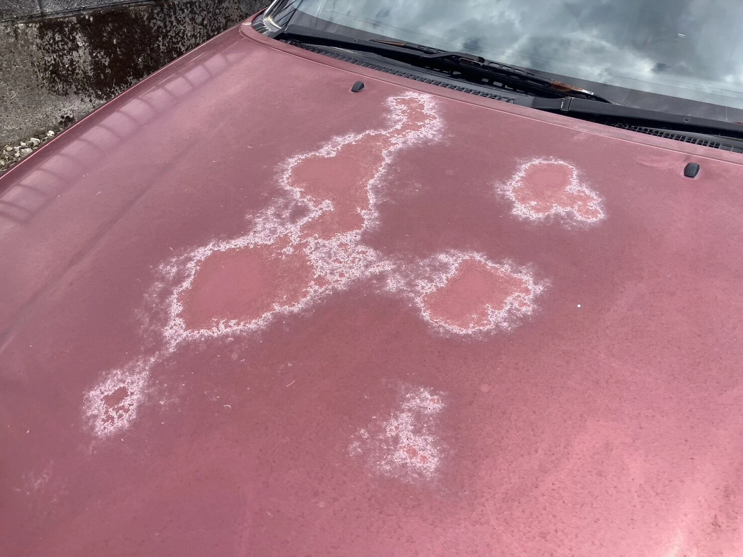どんな条件のお車も幅広く対応中