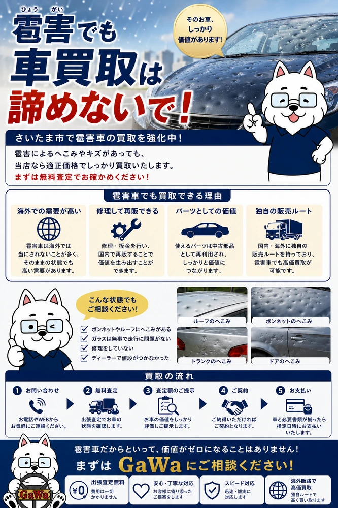 画像11234