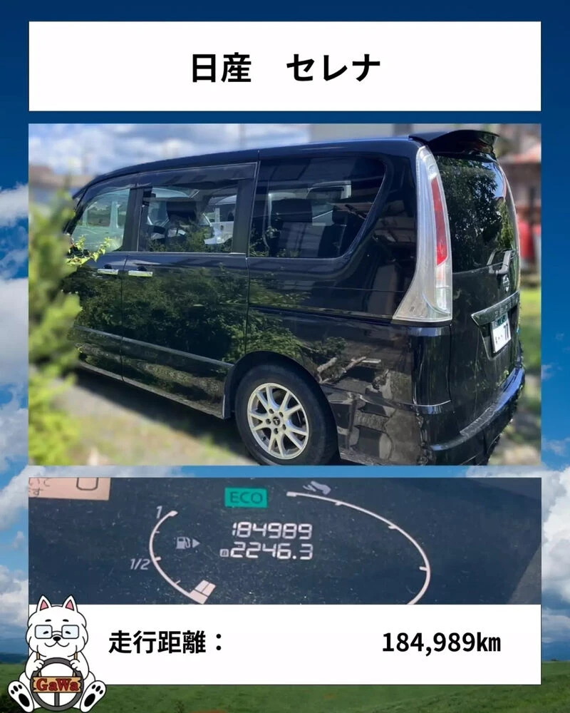 ブログ画像