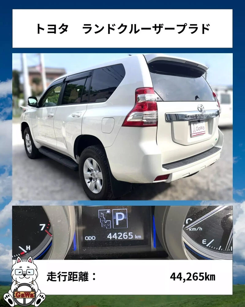 ブログ画像