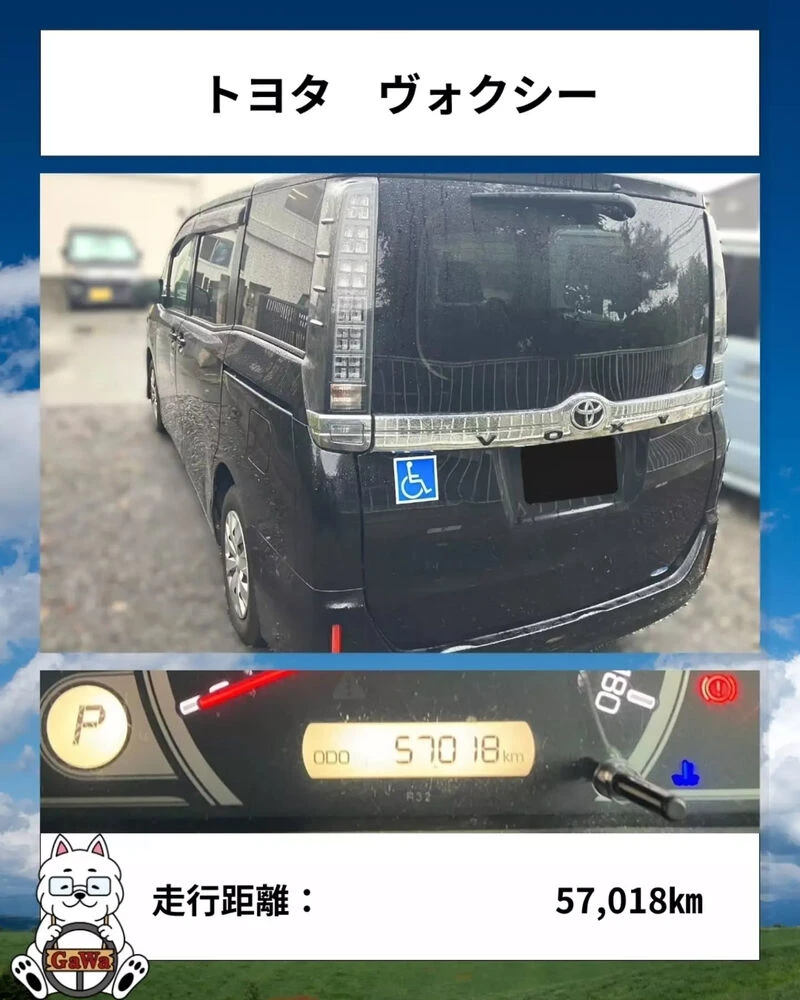 ブログ画像