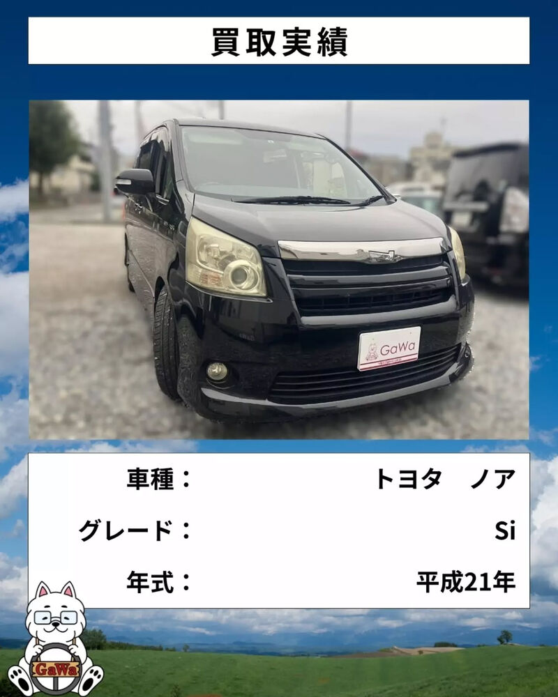 ブログ画像