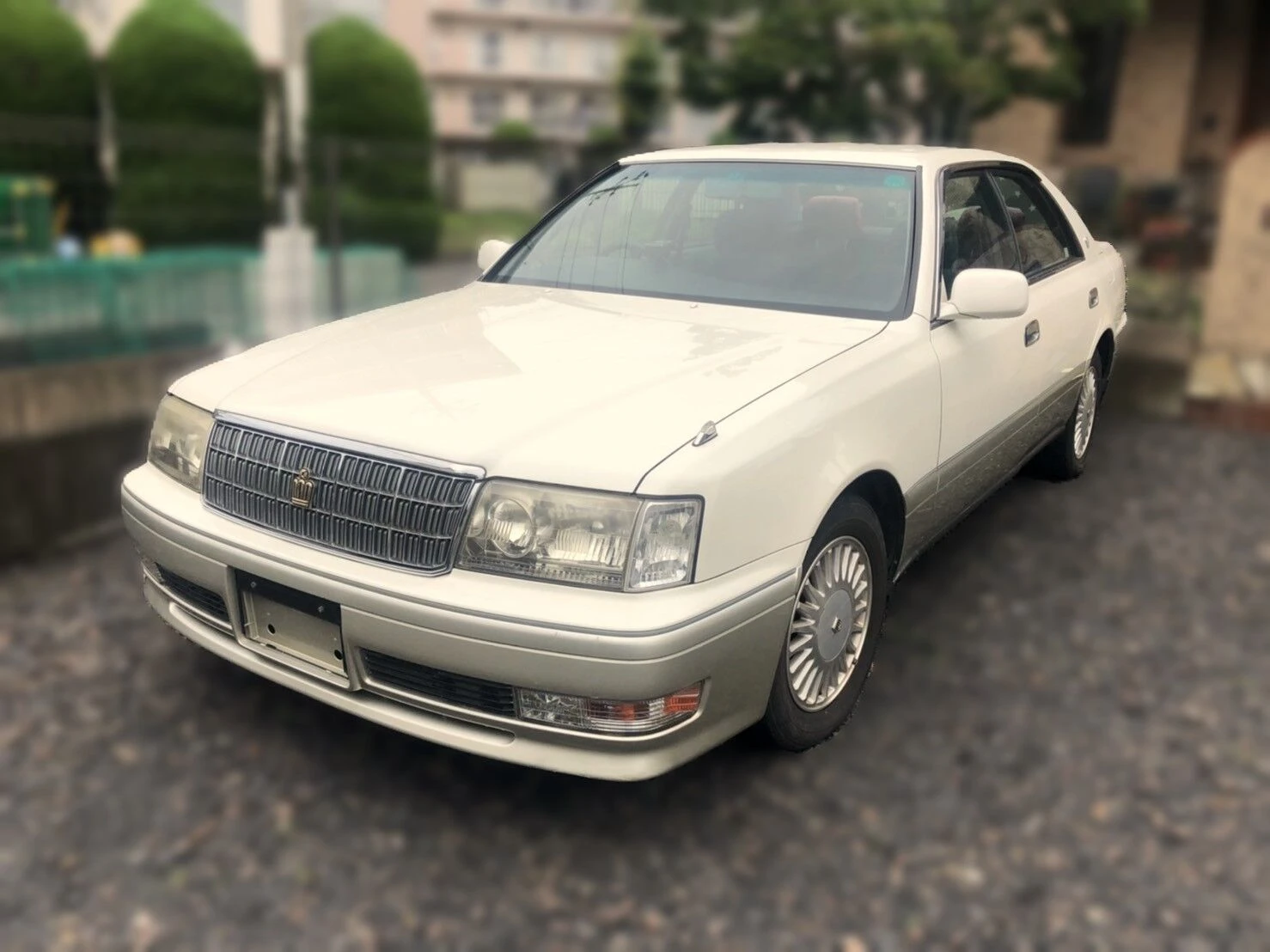 どんな条件のお車も幅広く対応中