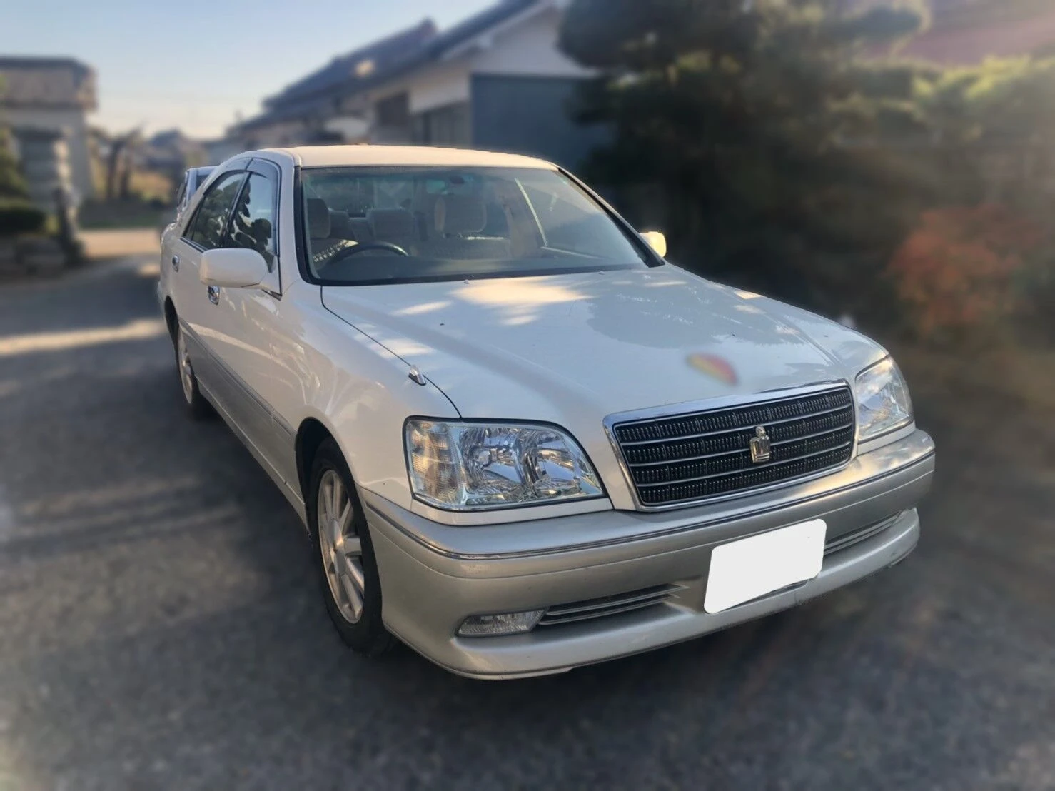 どんな条件のお車も幅広く対応中