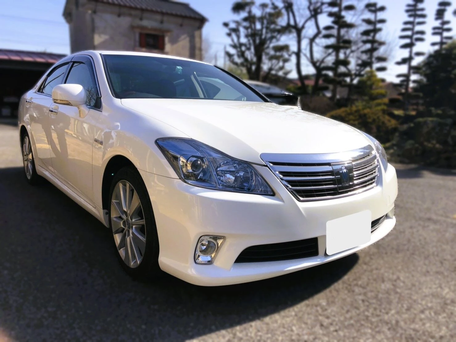 どんな条件のお車も幅広く対応中