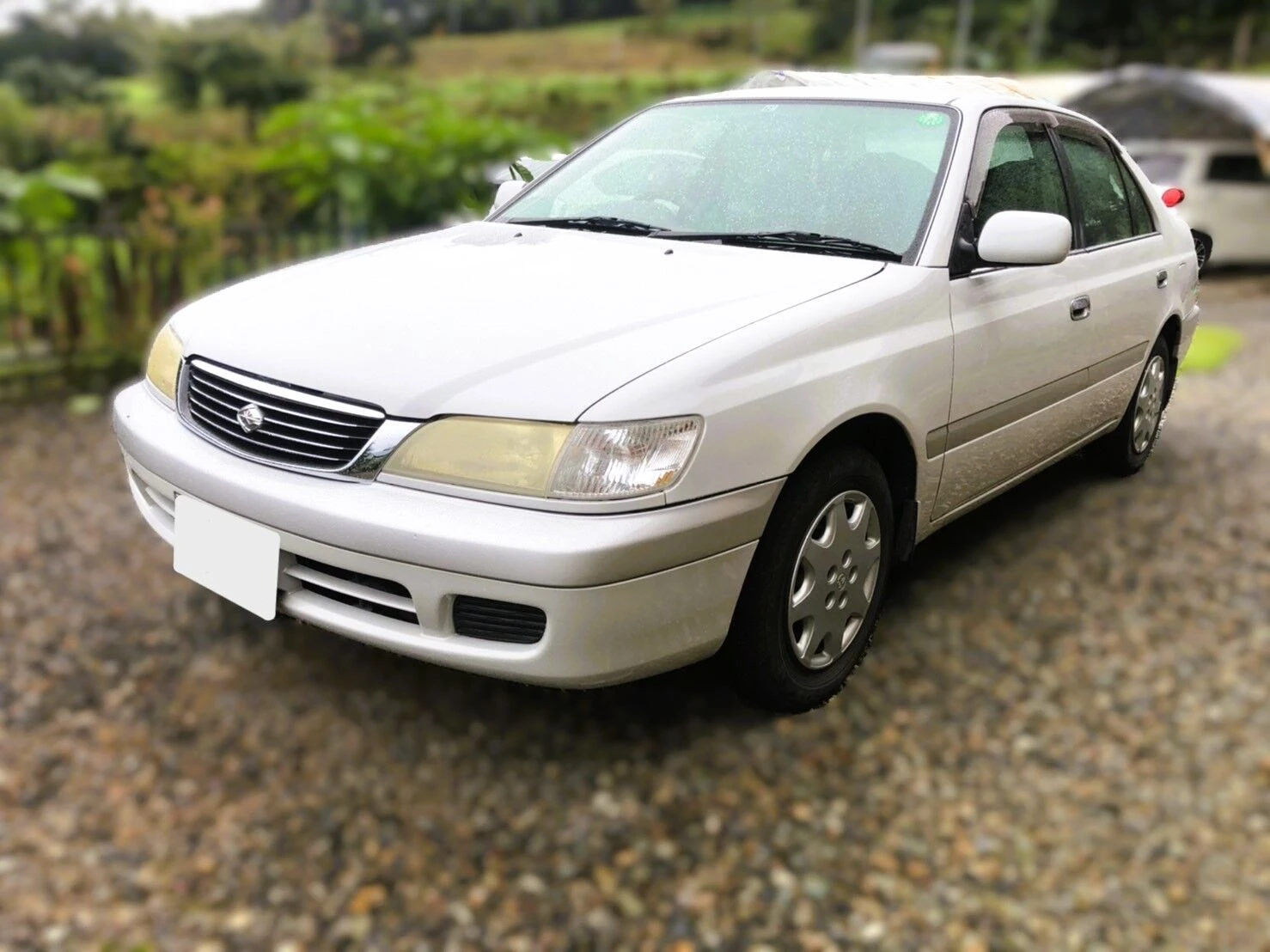 どんな条件のお車も幅広く対応中