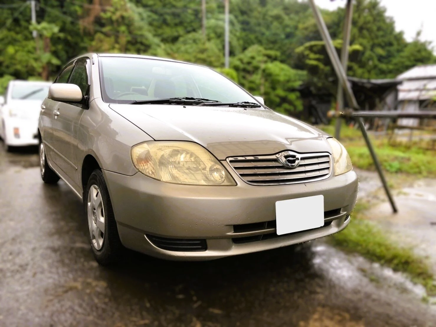 どんな条件のお車も幅広く対応中