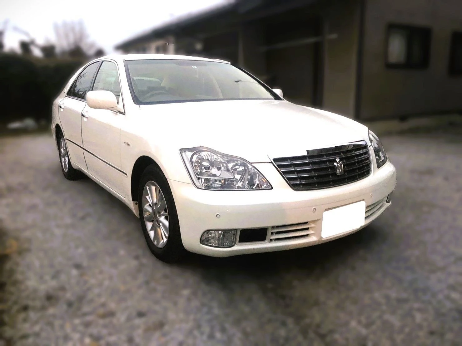 どんな条件のお車も幅広く対応中