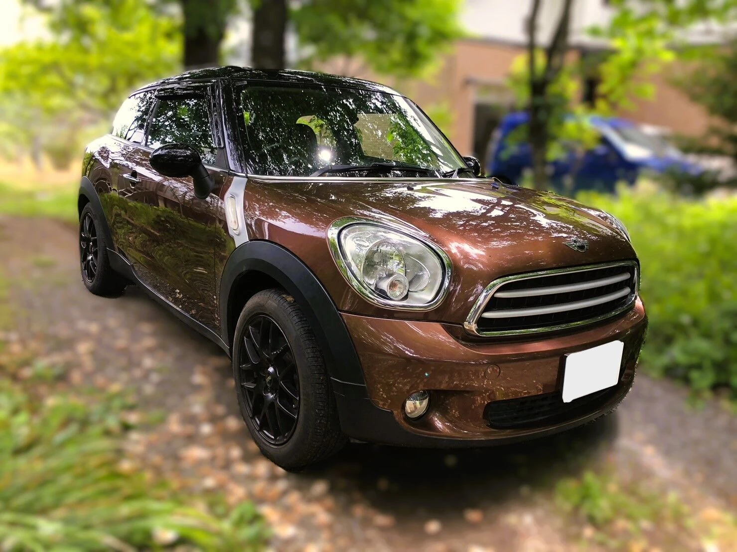どんな条件のお車も幅広く対応中
