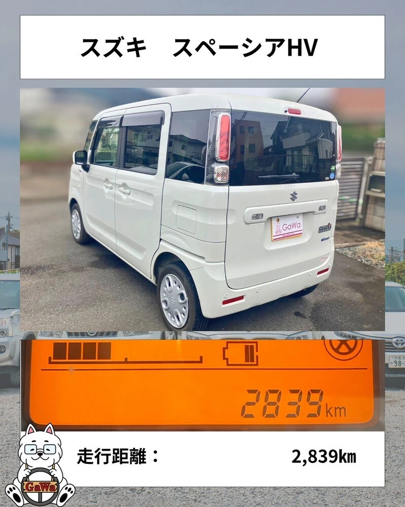 ブログ画像
