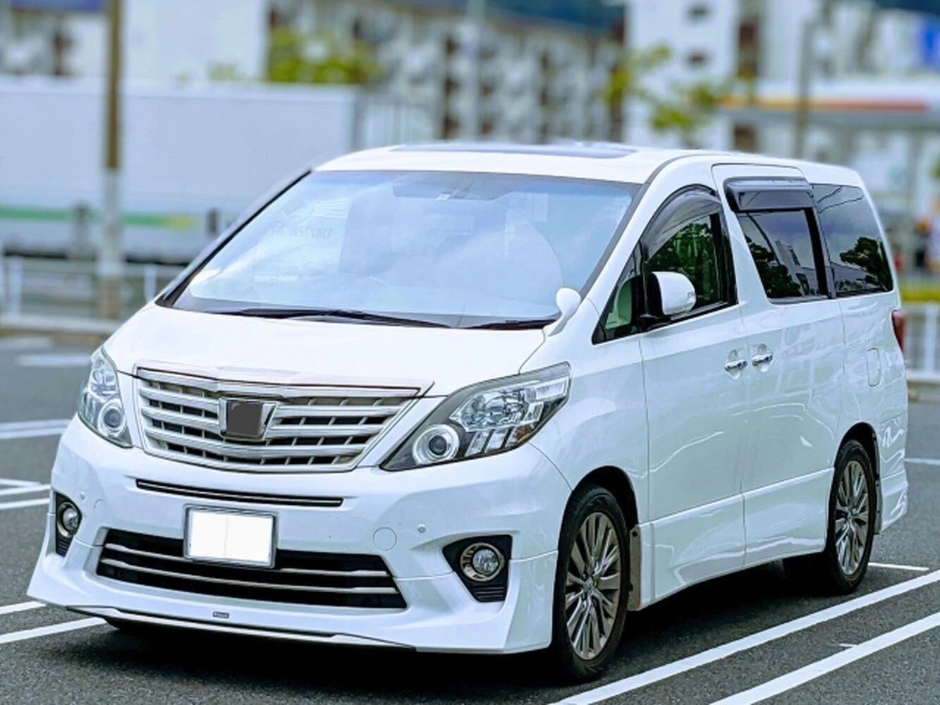 画像5649