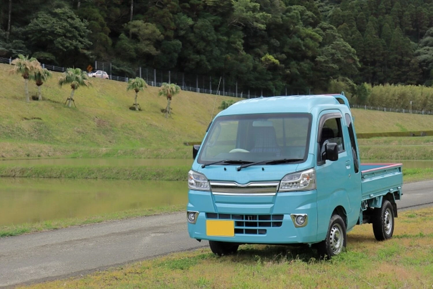 画像8031